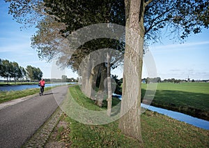 young woman rides bicycle next to merwedekanaal with poplat trees in holland under blue sky