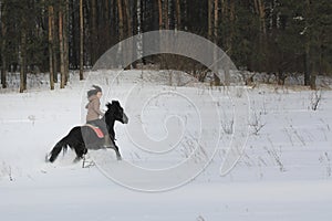 Young woman rides on top a bay horse in winter countryside