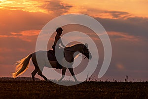 A young woman rides a white horse at sunset