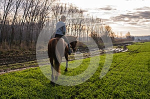 Young woman riding brown horse in field