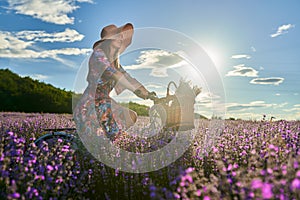 Young woman riding her bicycle in a lavender field