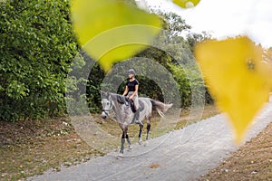 Young woman riding a horse, enjoying companion and calm walk