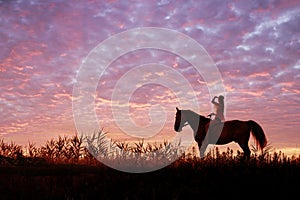 Young woman riding a horse on the meadow