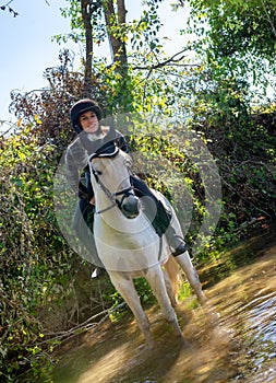 Young woman riding a horse in the river A beautiful rider and ho
