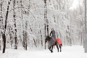 Young woman riding horse on a winter meadow