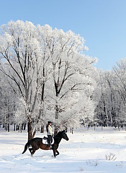 Young woman riding horse on a winter meadow