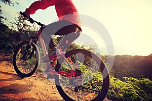 Young woman riding mountain bike on forest trail