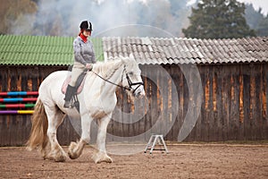 Young woman riding shire horse