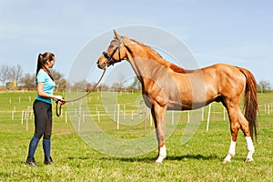 Young woman riding trainer holding purebred chestnut horse.