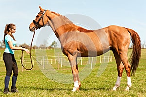 Young woman riding trainer holding purebred chestnut horse.