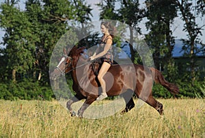 Young woman riding Trakehner horse