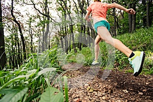 Young woman running in green forest. Endurance sport.