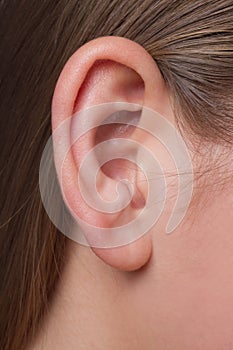 A young woman's ear close-up