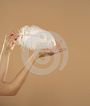 Young Woman`s Hand Touhing Her Palm With White Feather On Beige Background. Beautiful Body Care Concepts photo