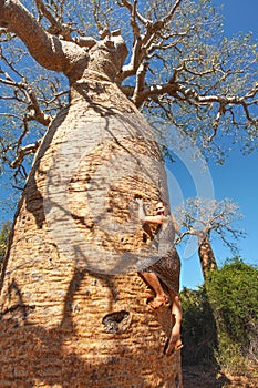 Young woman in sandals climbing up the baobab tree - tourist attraction on Madagascar