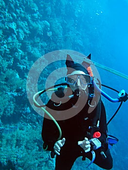 Young woman scuba diver