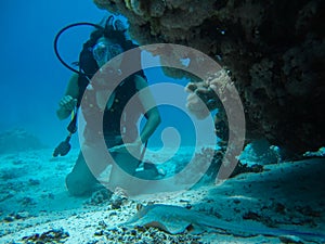 Young woman on the seafloor trying to pat a small slope while di photo