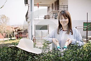 Young woman shaping garden bushes with cutting tool