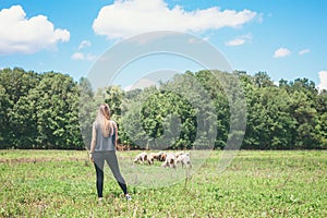 Young woman with sheeps in the meadow