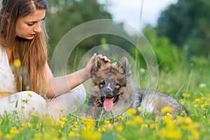 Young woman sits with an Elo puppy in the grass