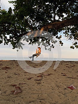 Young woman sitting alone on swing in the beach under the big tree background. Freedom and happiness concept