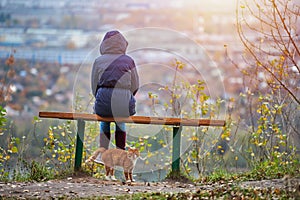 Young woman sitting on bench in autumn city park and looking at cityscape, back view