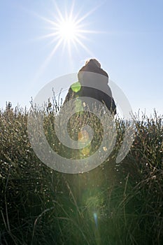 Young woman sitting on a bench backlit against the sunlight with heavy lensflare.
