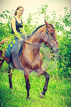 Young woman sitting on a horse