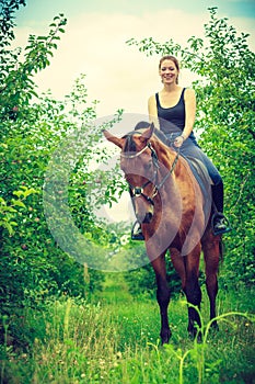 Young woman sitting on a horse