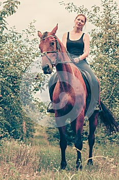 Young woman sitting on a horse