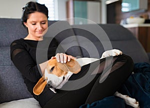Young woman sitting on sofa and pet her beagle dog in bright room