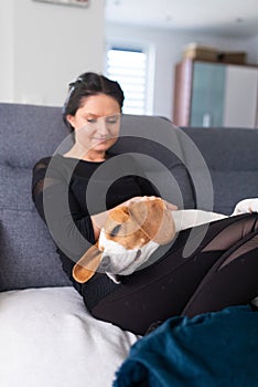 Young woman sitting on sofa and pet her beagle dog in bright room