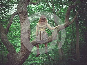 Young woman sitting in tree in the forest