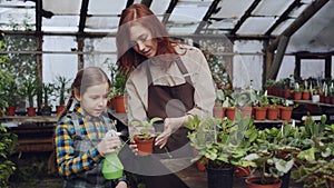 Young woman skilled gardener is teaching her curious little daughter to wash leaves of green pot plantst with spray