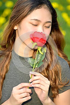 Young Woman Smelling A Rose