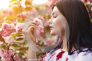 Young woman smelling sakura flowers