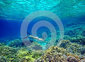 Young woman snorkeling in the beautiful coral reef with lots of