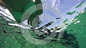 Young Woman Snorkeling on Colorful Reef in Red Sea, Egypt