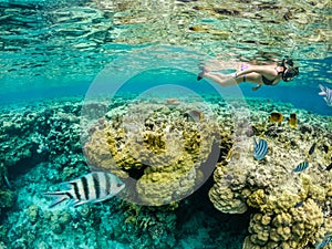 Young woman snorkeling at coral reef with fishes in tropical sea