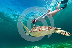 Young woman snorkeling with sea turtle