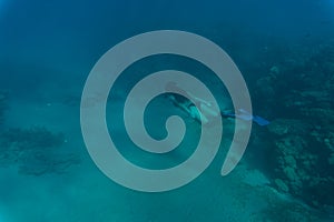 Young woman snorkling under water sea reef and coral. Summer vocation.