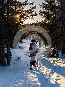 Mladá žena turistika na snežniciach v lese pri západe slnka