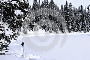 A young woman snowshoeing around Island Lake in Fernie, British Columbia, Canada. The majestic winter background is gorgeous photo
