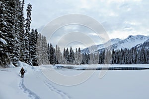 A young woman snowshoeing around Island Lake in Fernie, British Columbia, Canada. The majestic winter background is gorgeous photo