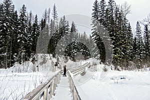 A young woman snowshoeing through the forests of Fernie Mountain Provincial Park, British Columbia, Canada