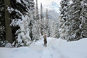 A young woman snowshoeing through forests of Island Lake in Fernie, British Columbia, Canada.