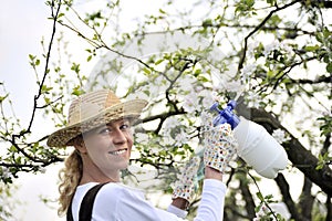 Young woman spraying apple tree