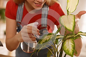 Young woman spraying Dieffenbachia plant, closeup. Engaging hobby
