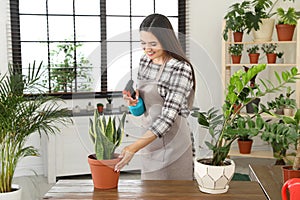 Young woman spraying plant with water