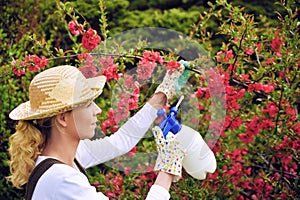 Young woman spraying tree in garden, the gardener takes care of the quince tree in orchard, holding spray bottle, happy young lady